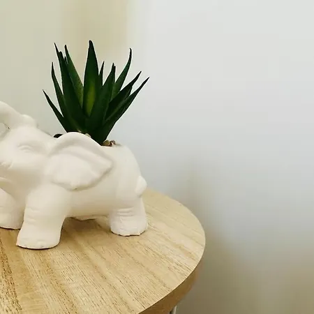 Duplex Chez Caro, 180m De La A Sur