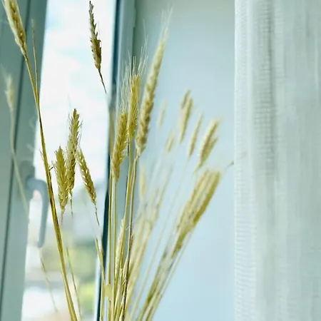 Daire Duplex Chez Caro, 180m De La A Sur