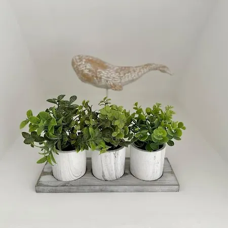 Duplex Chez Caro, 180m De La A Sur דירה קאיו סור מר