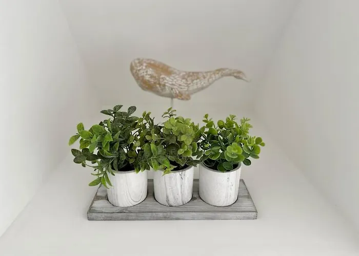 Duplex Chez Caro, 180m De La à Sur Appartamento Cayeux-sur-Mer