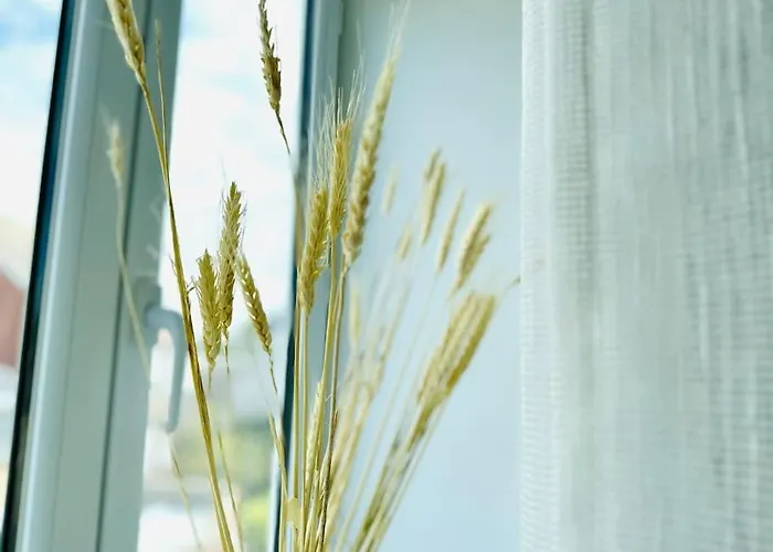 Appartamento Duplex Chez Caro, 180m De La à Sur